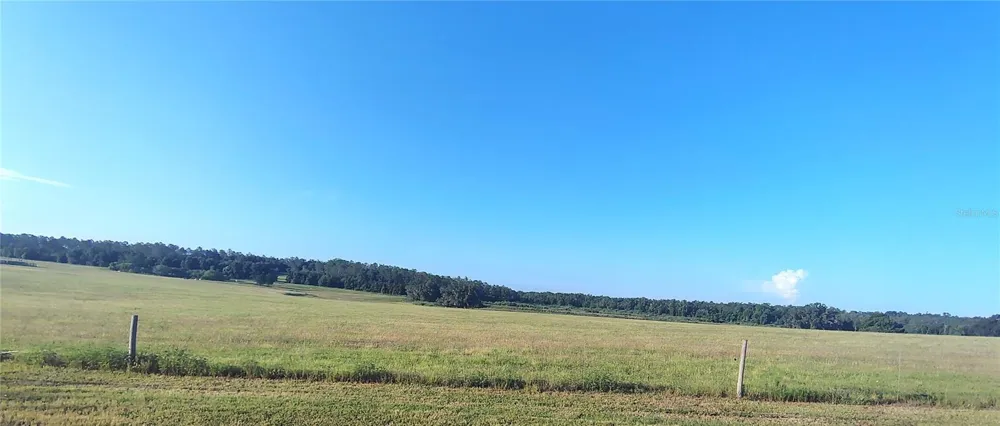 COVINGTON ROAD Dade City, FL 33525