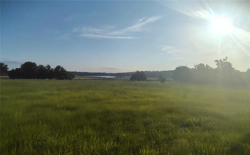 COVINGTON ROAD Dade City, FL 33525