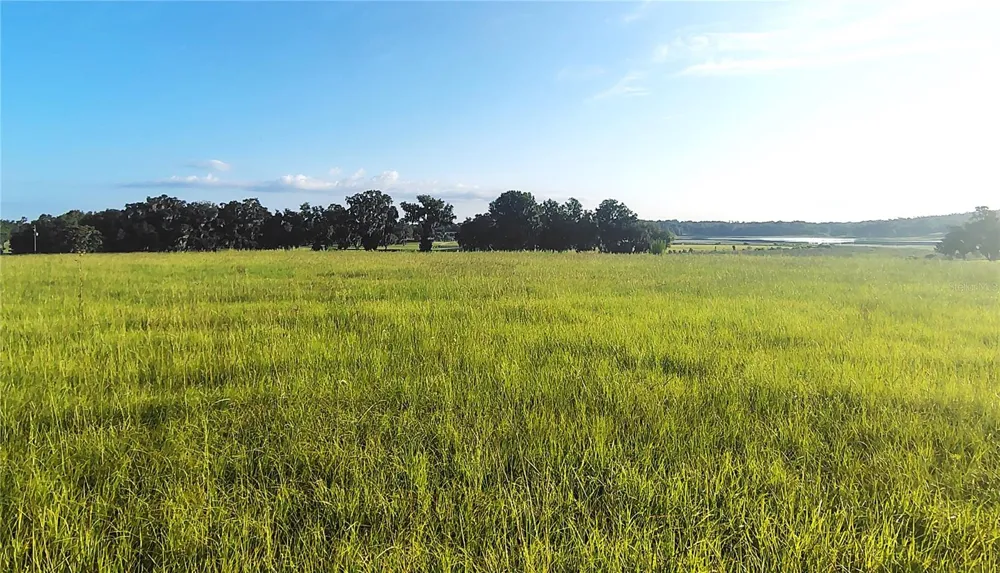 COVINGTON ROAD Dade City, FL 33525