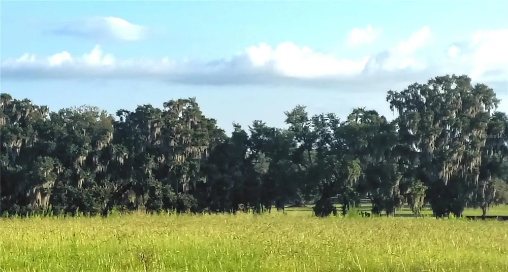 COVINGTON ROAD Dade City, FL 33525