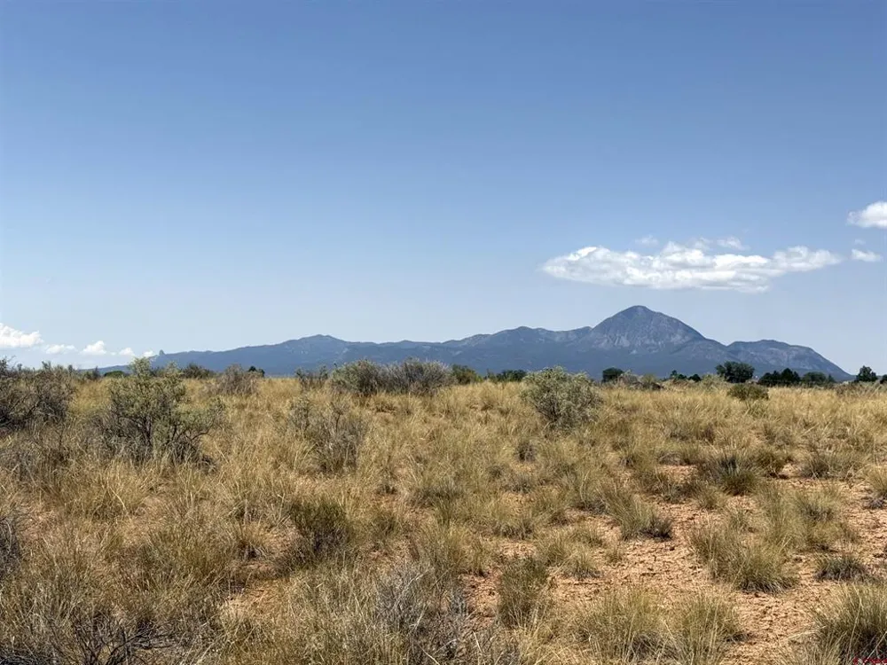 Corri Court Cortez, CO 81321