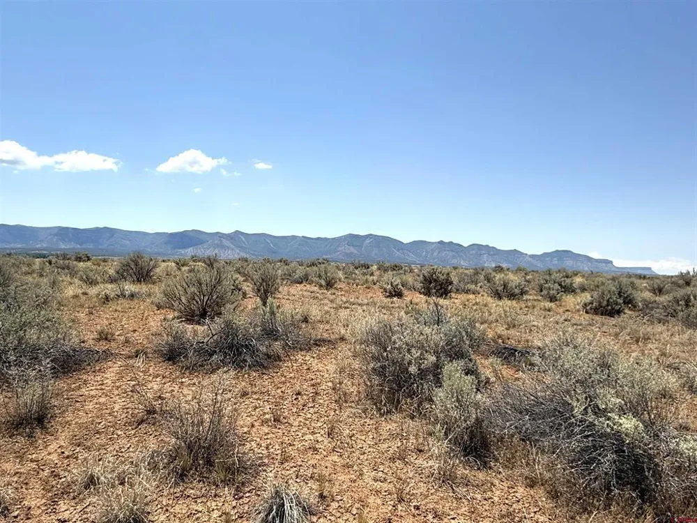Corri Court Cortez, CO 81321