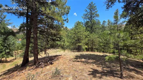 15394 Westcreek Road