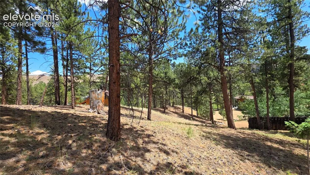 15394 Westcreek Road Woodland Park, CO 80863