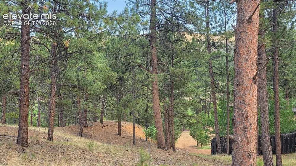15394 Westcreek Road Woodland Park, CO 80863