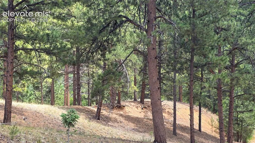 15394 Westcreek Road Woodland Park, CO 80863