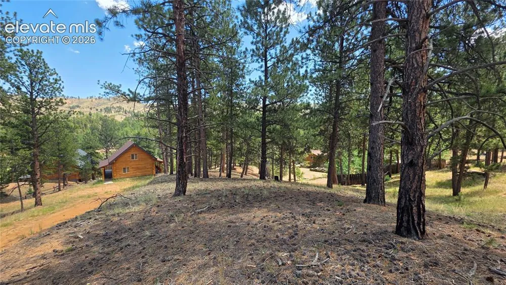 15394 Westcreek Road Woodland Park, CO 80863