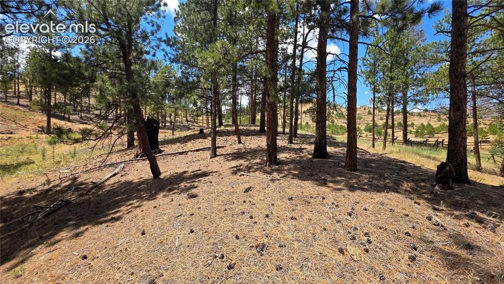 15394 Westcreek Road Woodland Park, CO 80863