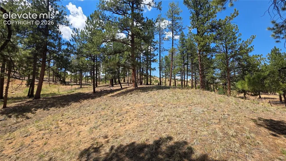 15394 Westcreek Road Woodland Park, CO 80863