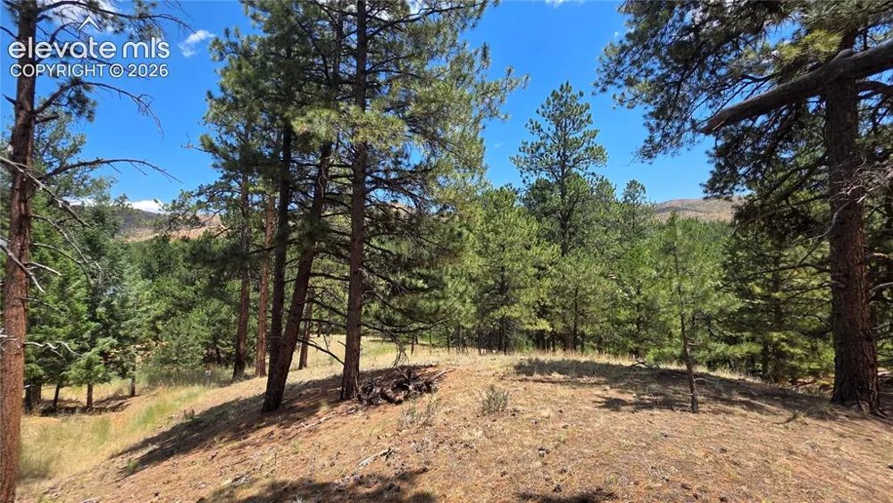 15394 Westcreek Road Woodland Park, CO 80863