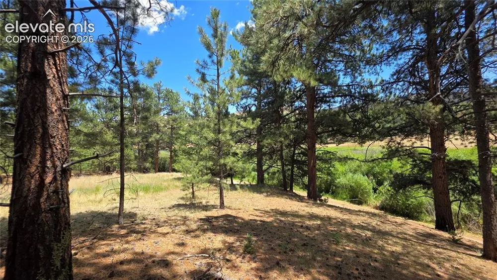 15394 Westcreek Road Woodland Park, CO 80863