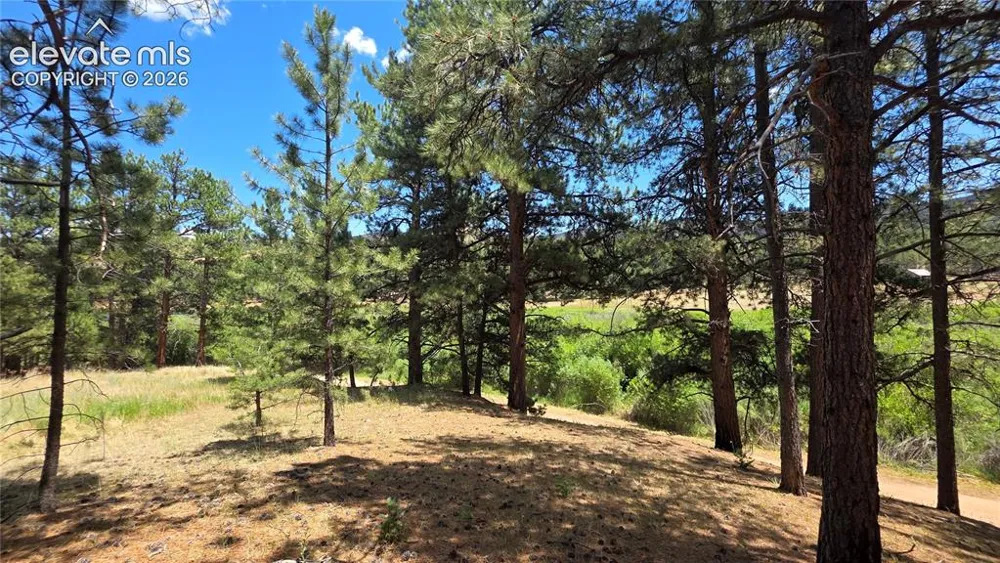 15394 Westcreek Road Woodland Park, CO 80863