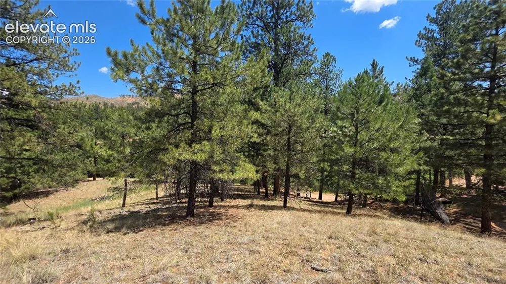 15394 Westcreek Road Woodland Park, CO 80863
