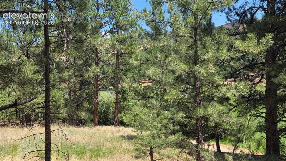 15394 Westcreek Road Woodland Park, CO 80863