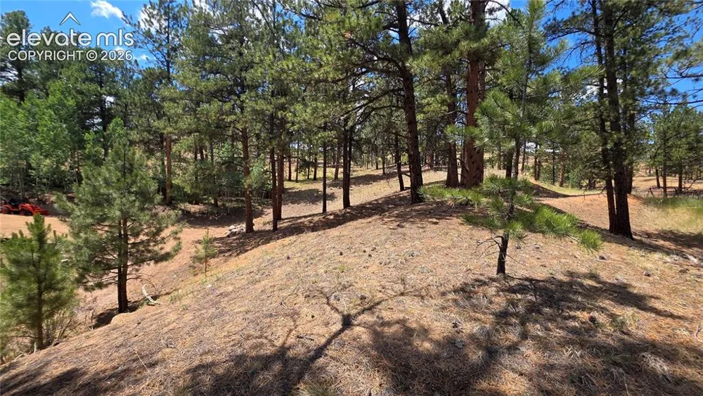15394 Westcreek Road Woodland Park, CO 80863