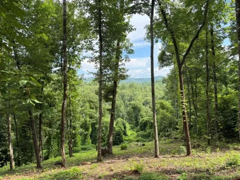 Lot 25 Bryson Creek