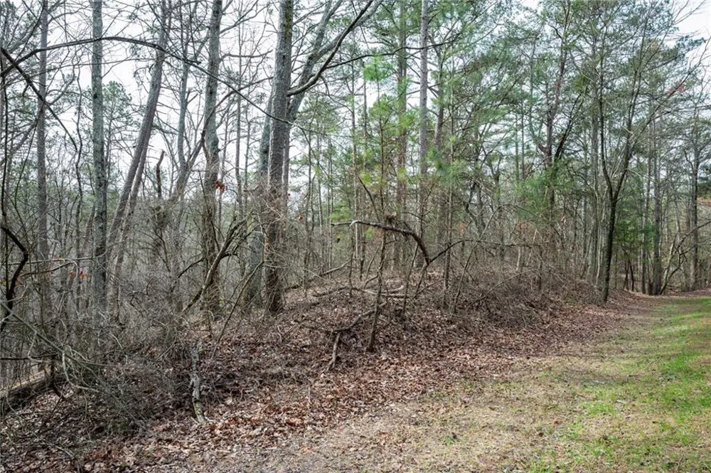 00 Red Top Mountain Road Cartersville, GA 30121