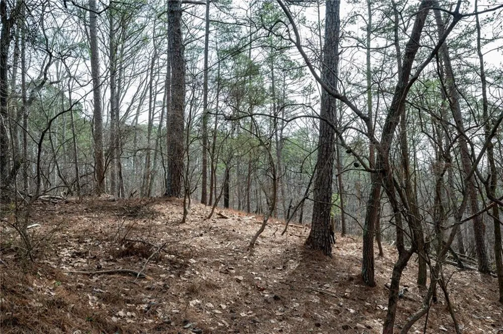 00 Red Top Mountain Road Cartersville, GA 30121