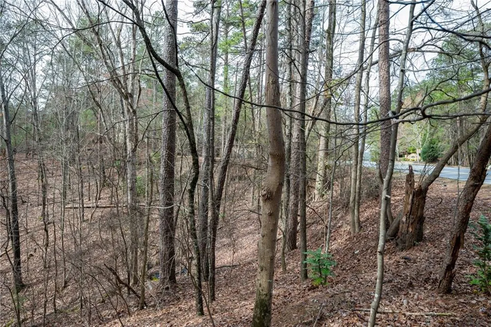 00 Red Top Mountain Road Cartersville, GA 30121