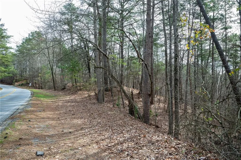 00 Red Top Mountain Road Cartersville, GA 30121