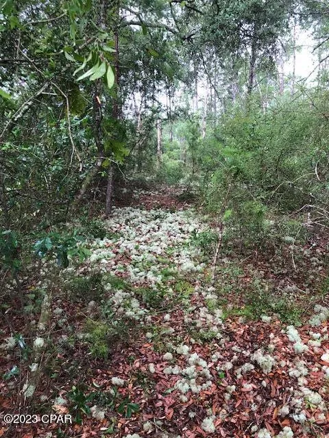Sunrise Way Southport, FL 32409