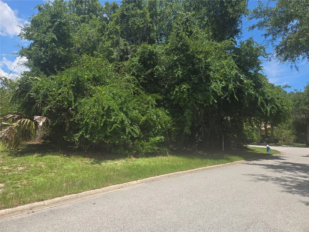 29 CREEKSIDE DRIVE Palm Coast, FL 32137