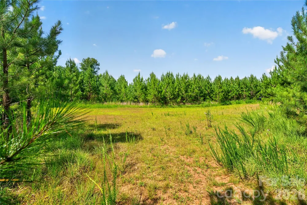 000 Blanton Road #2 Sharon, SC 29742