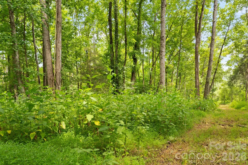 000 Blanton Road #2 Sharon, SC 29742