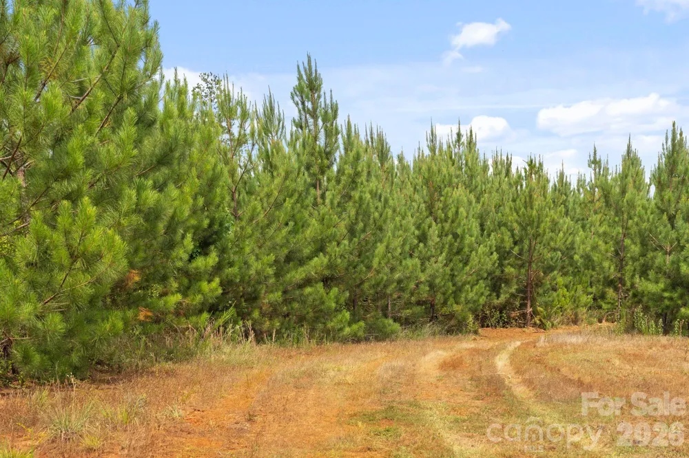 000 Blanton Road #2 Sharon, SC 29742