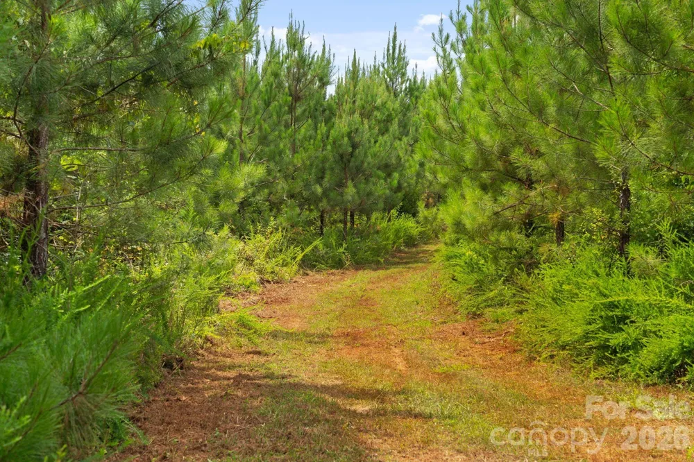 000 Blanton Road #2 Sharon, SC 29742