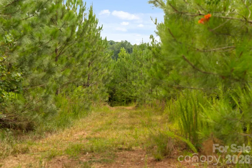 000 Blanton Road #2 Sharon, SC 29742