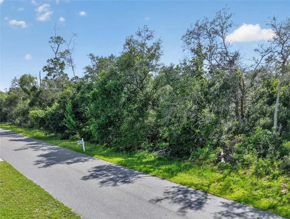 0000 SW 42ND TERRACE ocala, FL 34473