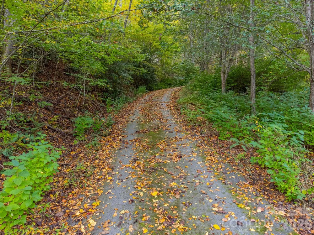197 Savannah Meadows Trail Sylva, NC 28779