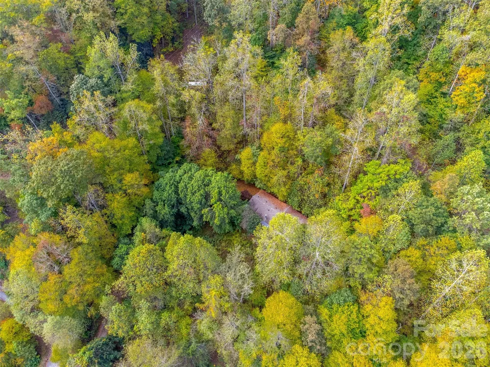 197 Savannah Meadows Trail Sylva, NC 28779