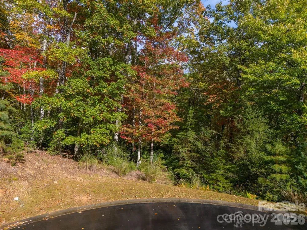 99999 Caddis Lane #91 Horse Shoe, NC 28742