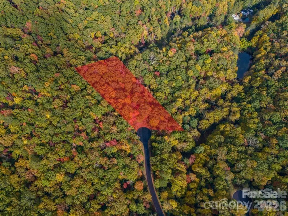 99999 Caddis Lane #91 Horse Shoe, NC 28742