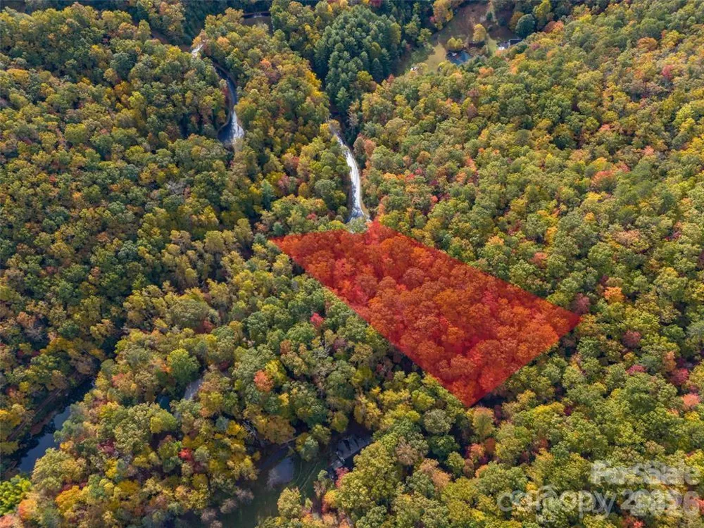 99999 Caddis Lane #91 Horse Shoe, NC 28742