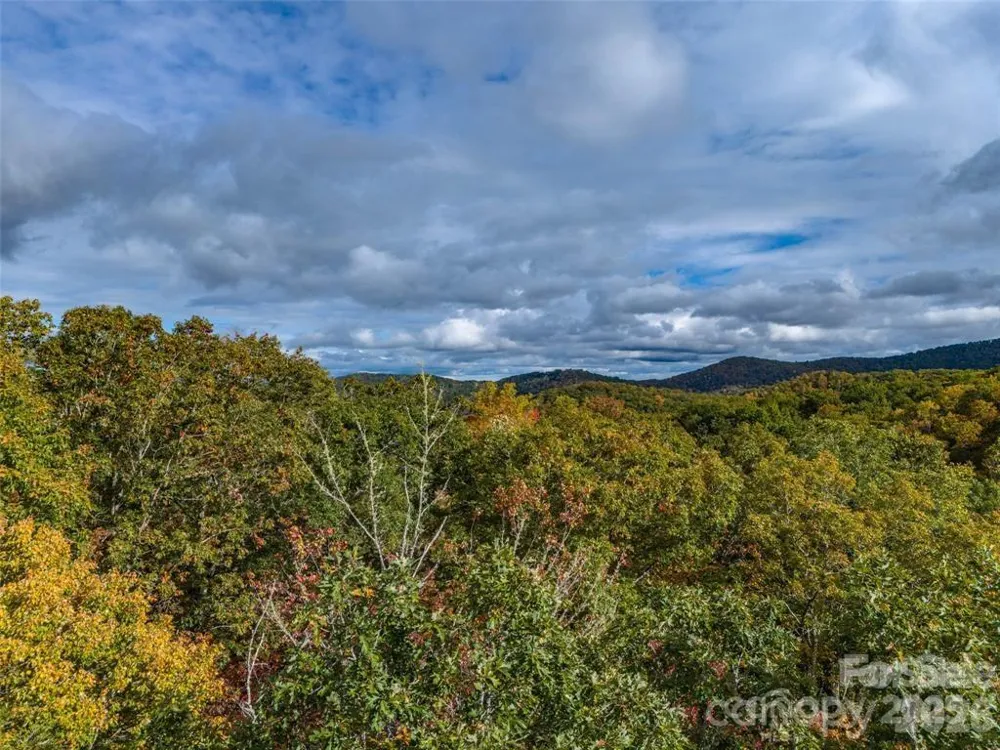 99999 Caddis Lane #91 Horse Shoe, NC 28742