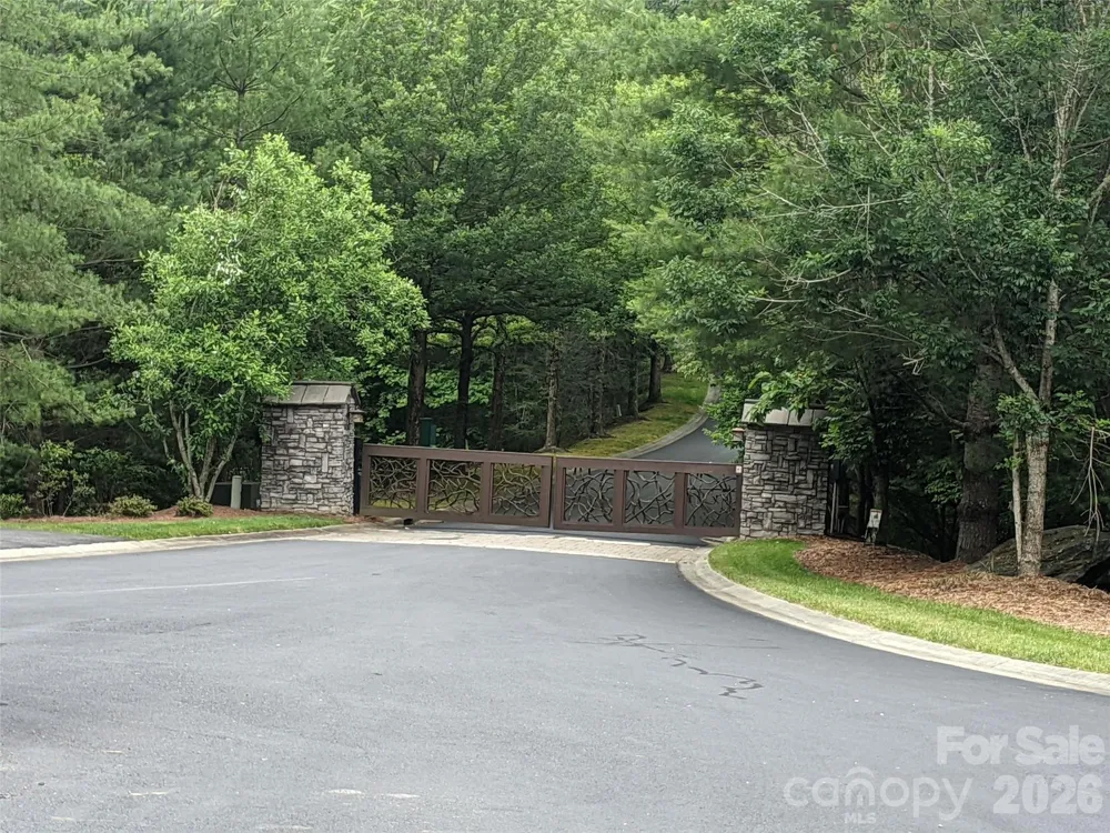 99999 Caddis Lane #91 Horse Shoe, NC 28742