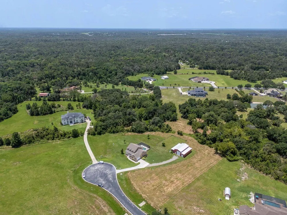 8703 ALAFIA HILLS DRIVE Plant City, FL 33567
