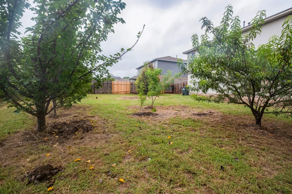 800 Rubles Court Leander, TX 78641