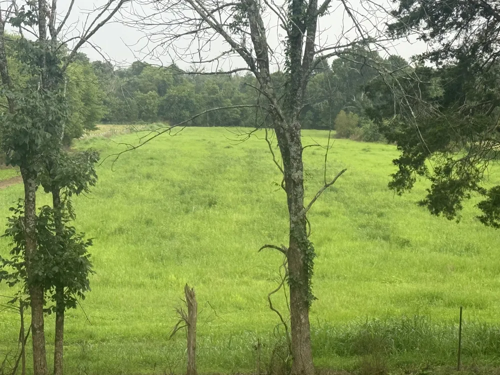 0 Burford Rd Lebanon, TN 37087