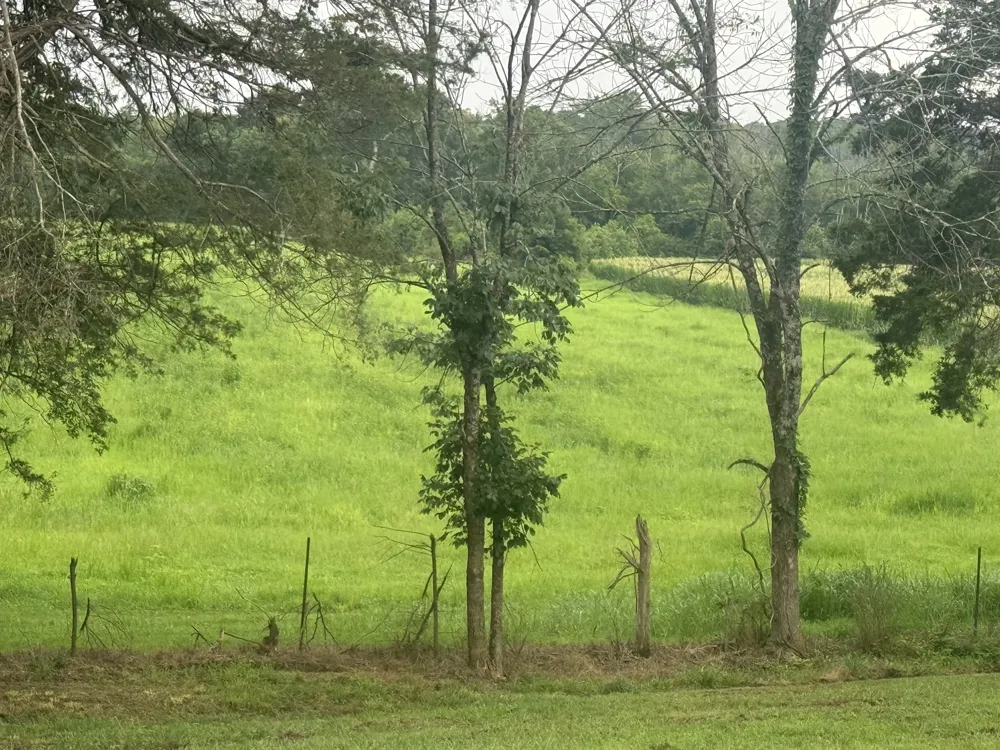 0 Burford Rd Lebanon, TN 37087