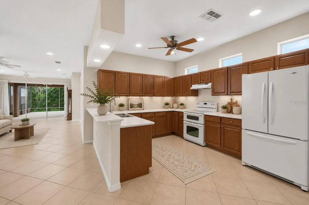 20931 DIAMONTE DRIVE Land O Lakes, FL 34637