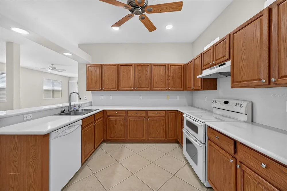 20931 DIAMONTE DRIVE Land O Lakes, FL 34637