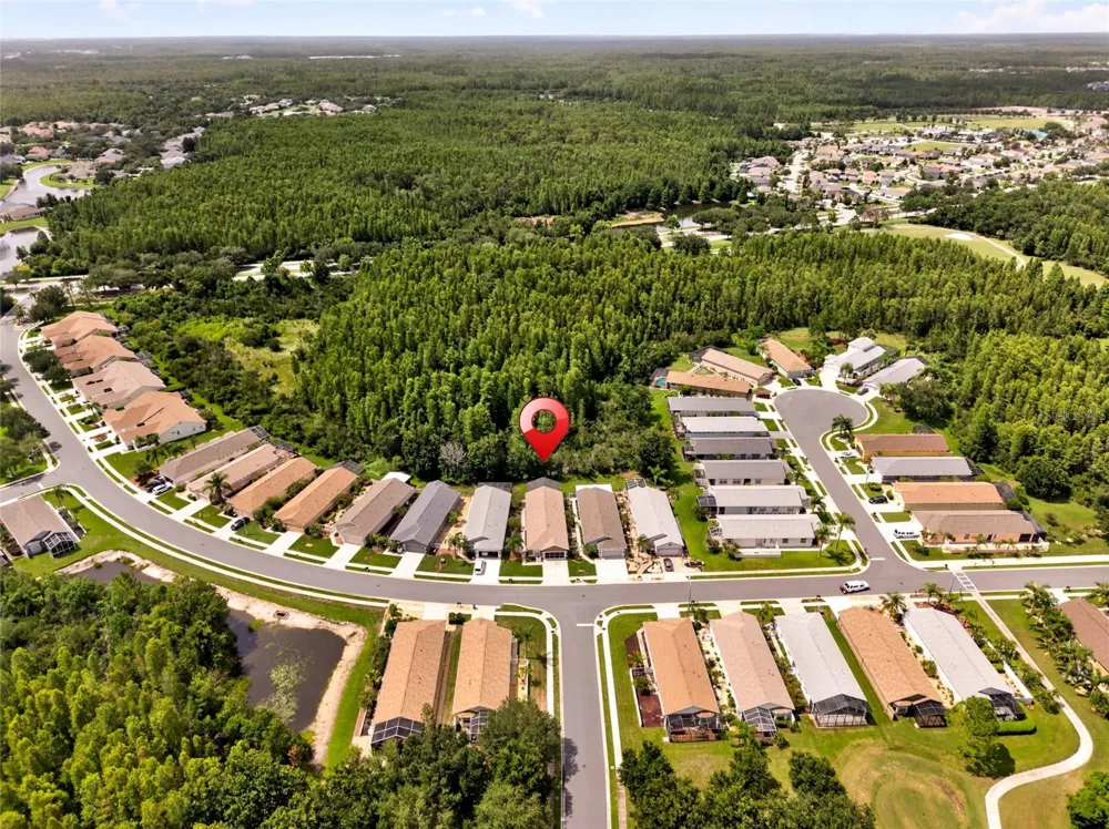 20931 DIAMONTE DRIVE Land O Lakes, FL 34637