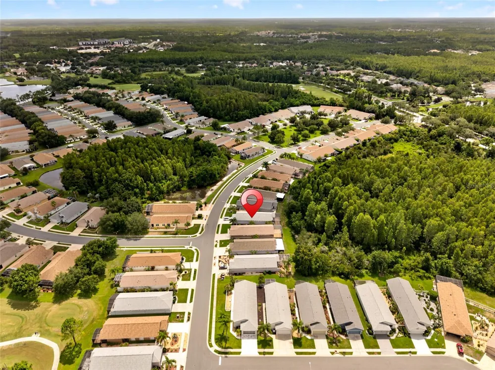 20931 DIAMONTE DRIVE Land O Lakes, FL 34637