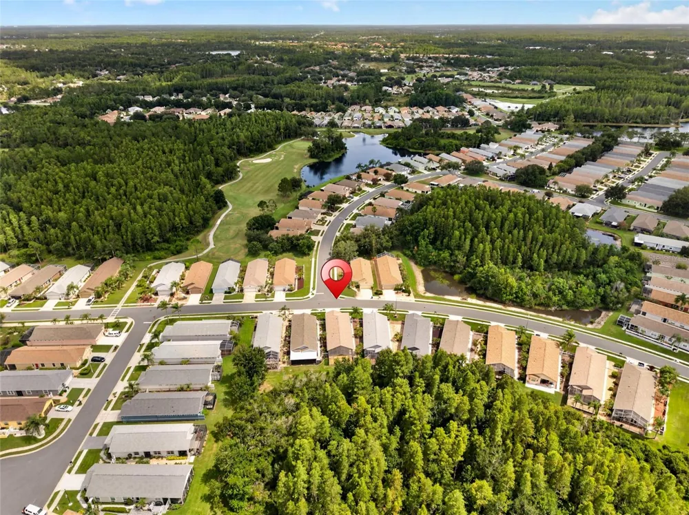 20931 DIAMONTE DRIVE Land O Lakes, FL 34637