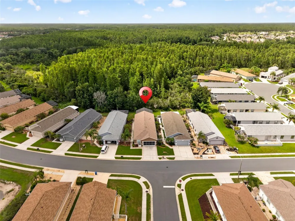 20931 DIAMONTE DRIVE Land O Lakes, FL 34637