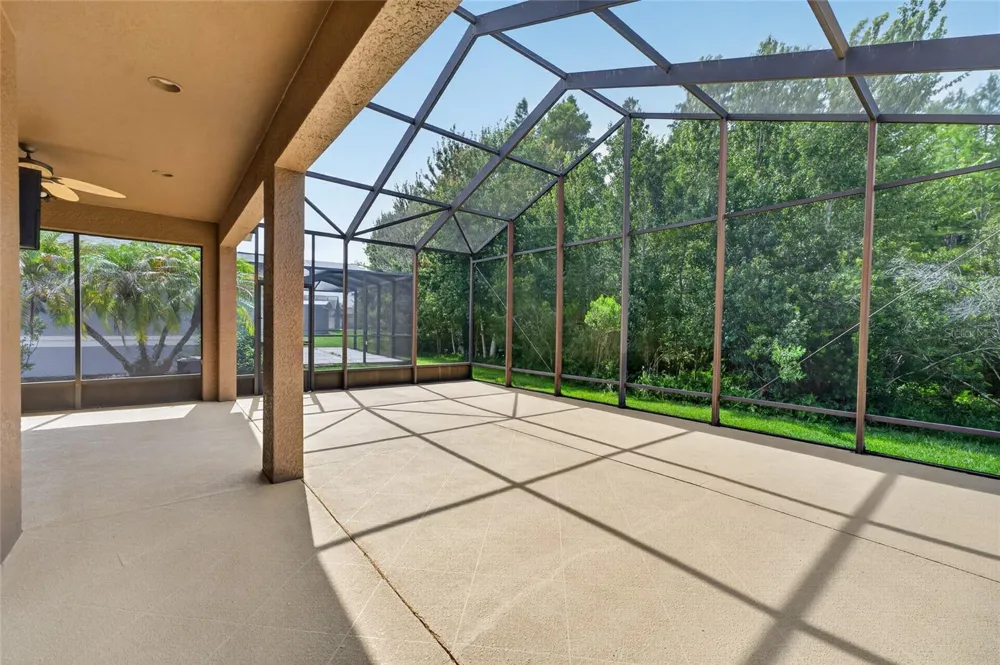 20931 DIAMONTE DRIVE Land O Lakes, FL 34637
